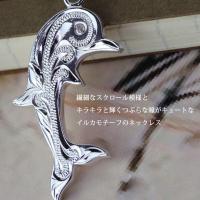 SP2557P 写真2