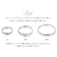 SR102 写真8