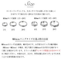 SR301-SR302P 写真7