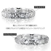 SR401-SR501P 写真3