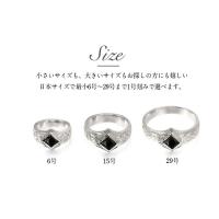 SR602 写真7