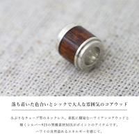 CG-SWP1001 写真2