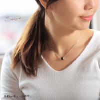 SWP1001-SWP1002P 写真4