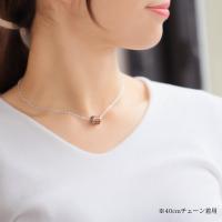 CG-SWP1002 写真7