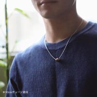 CG-SWP1002P 写真8