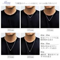 CG-SWP1005-SWP1006P 写真13