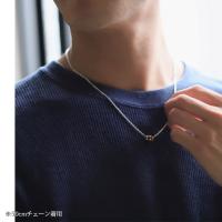SWP1005 写真5