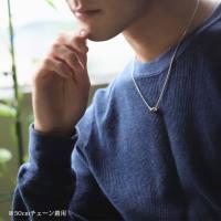 CG-SWP1005P 写真8
