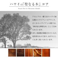 SWP1005P 写真3