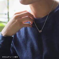SWP1006P 写真8