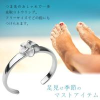 TR1011 写真3