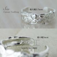 TR1051 写真4