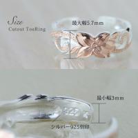 TR1057 写真4