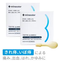 痔疾用薬 ラホヤA注入軟膏EX 2g×30個  2箱セット いぼ痔の痛み きれ痔 痔の薬 痔軟膏 市販薬 ミナカラ 【指定第2類医薬品】 | ミナカラドラッグ 2号店