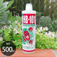 フローラ 天然活力剤 HB-101 500cc (100%天然植物エキスの活力液) [HB101 植物活力剤 肥料 野菜作り 園芸] | ミナトワークス