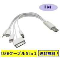 Usbケーブル 5in1 充電 Minib Microb Lightning ライトニング Dock Dcプラグ Pc Ds Psp カメラ Iphone Ipad Ipod Usb 5in1 ぐっとれ 通販 Yahoo ショッピング