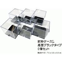 鉱物ケース Lサイズ 6個 サムネイルケース 標本ケース : ミネラル屋