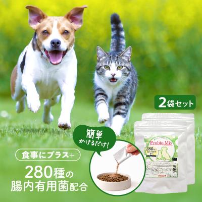 プロバイオ（犬用品） | ペット用品、生き物 の商品一覧 通販 - Yahoo