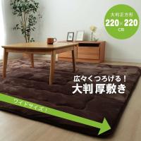 ラグ こたつ敷き布団 正方形 幅広ラグ ブラウン 約220×220cm イケヒコ | 介護用品専門店ミニロクメイト