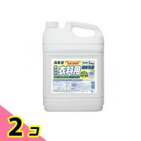 カネヨ 抗菌・無香料衣料用洗剤 5kg 2個セット | みんなのお薬ビューティ&コスメ店