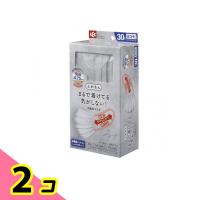 レック ふわるん  Nマスク ふつう 30枚入 (LGR ライトグレー) 2個セット | みんなのお薬ビューティ&コスメ店