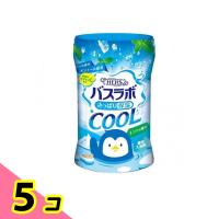 HERSバスラボ ボトル クール ミントの香り 500g 5個セット | みんなのお薬ビューティ&コスメ店