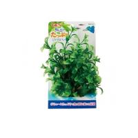 GEX 癒し水景 たっぷり ハイグロフィラ 1個入 (1個) | みんなのお薬ビューティ&コスメ店(みんなのお薬)