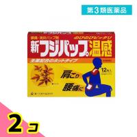 第３類医薬品新フジパップ 温感 12枚 2個セット | みんなのお薬ビューティ&コスメ店