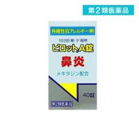 第２類医薬品ピロットA錠 40錠 (1個) | みんなのお薬ビューティ&コスメ店