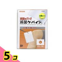 滅菌済ガーゼ 滅菌ケーパイン Lサイズ 8枚入 5個セット | みんなのお薬ビューティ&コスメ店