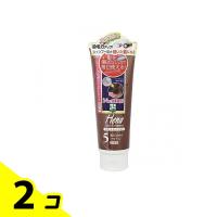 テンスター ヘナ カラートリートメント 5ブラウン 250g 2個セット | みんなのお薬バリュープライス(みんなのお薬)