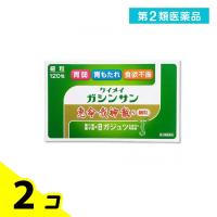 第２類医薬品 恵命我神散S<細粒> 120包 2個セット | みんなのお薬バリュープライス