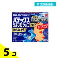 第３類医薬品パテックス うすぴたシップ EX 20枚 5個セット | みんなのお薬バリュープライス