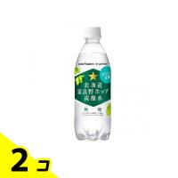 北海道富良野ホップ炭酸水 500mL (×24本入) 2個セット | みんなのお薬バリュープライス