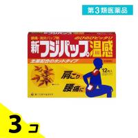 第３類医薬品新フジパップ 温感 12枚 3個セット | みんなのお薬バリュープライス