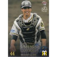 阪神 梅野隆太郎の商品一覧 通販 - Yahoo!ショッピング