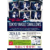 ◆予約◆プロデュース216 2024 東京ヤクルトスワローズ MINI色紙 | カードショップMINT