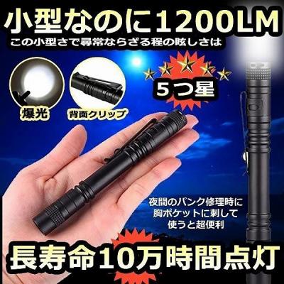 1点限り‼️】LED 充電式ワークライト 内蔵バッテリー 懐中電灯