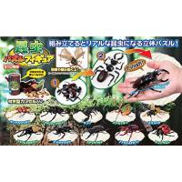 6個セット 4dパズル 昆虫dx pw 136047s バラエティ雑貨サプライズワールド 通販 yahoo ショッピング