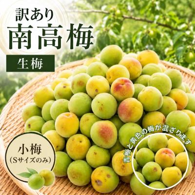 南高梅のおすすめ人気商品一覧 通販 - Yahoo!ショッピング
