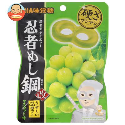 忍者めし 鉄の鎧の商品一覧 通販 - Yahoo!ショッピング