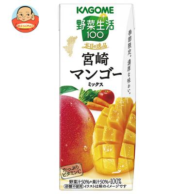 朝日鷹のおすすめ人気商品一覧 通販 - Yahoo!ショッピング