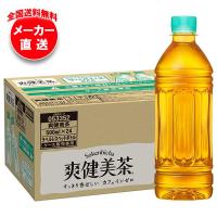 【全国送料無料・メーカー直送品・代引不可】コカコーラ 爽健美茶 ラベルレス 500mlペットボトル×24本入×(2ケース) | 味園サポート ヤフー店