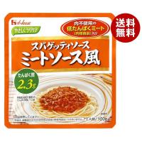 ハウス食品 やさしくラクケア スパゲッティミートソース風(低たんぱくミート入り) 100g×40個入｜ 送料無料 | MISONOYA ヤフー店