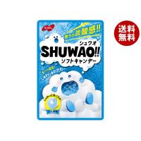 ノーベル製菓 SHUWAO!!(シュワオ) ソーダ 30g×6個入｜ 送料無料 | MISONOYA ヤフー店
