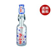 木村飲料 元祖ビー玉ラムネ 200ml瓶×30本入｜ 送料無料 ラムネ 瓶 炭酸水 炭酸飲料 炭酸(スパークリング) | MISONOYA ヤフー店