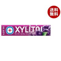 ロッテ キシリトールガム グレープ 14粒×20個入×(2ケース)｜ 送料無料 お菓子 XYLITOL ガム ぶどう 葡萄 ブドウ | MISONOYA ヤフー店