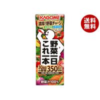 カゴメ 野菜一日これ一本 200ml紙パック×24本入×(2ケース)｜ 送料無料 | MISONOYA ヤフー店