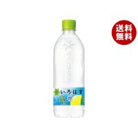 コカコーラ い・ろ・は・す(いろはす) 塩とれもん 540mlペットボトル×24本入×(2ケース)｜ 送料無料 | MISONOYA ヤフー店