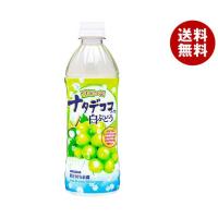 サンガリア つぶつぶナタデココ入り白ぶどう 500mlペットボトル×24本入｜ 送料無料 ぶどう ペットボトル ブドウ 葡萄 | MISONOYA ヤフー店